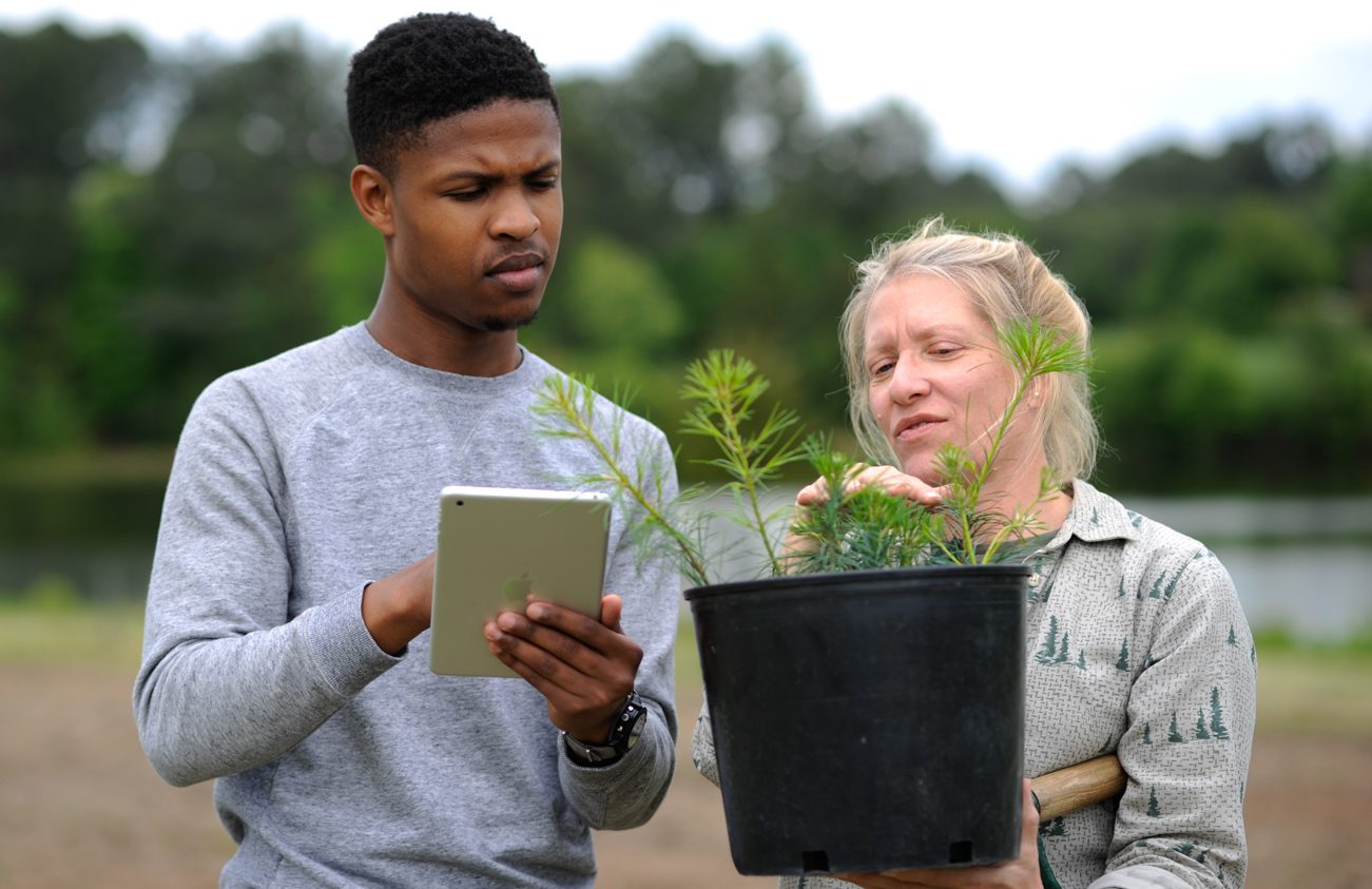 People analyze a plant - Sustainable Bioproducts - College of Natural at NC State University